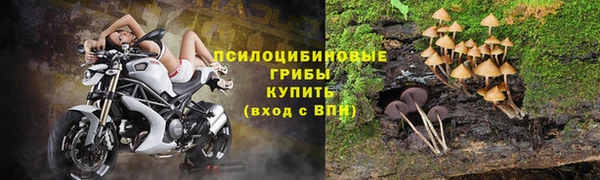 mdpv Беломорск