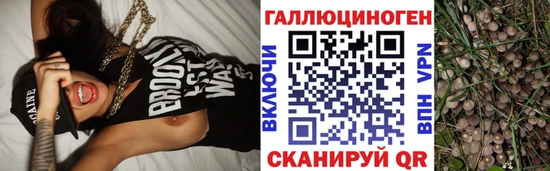 Псилоцибиновые грибы MAGIC MUSHROOMS  Электросталь 